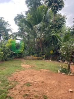 House for sale in Pethiyagoda, Gelioya , Kandy 