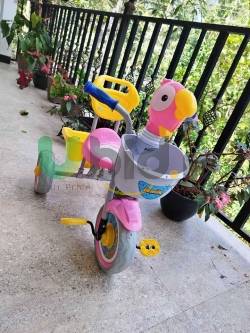 Kids Tricycle